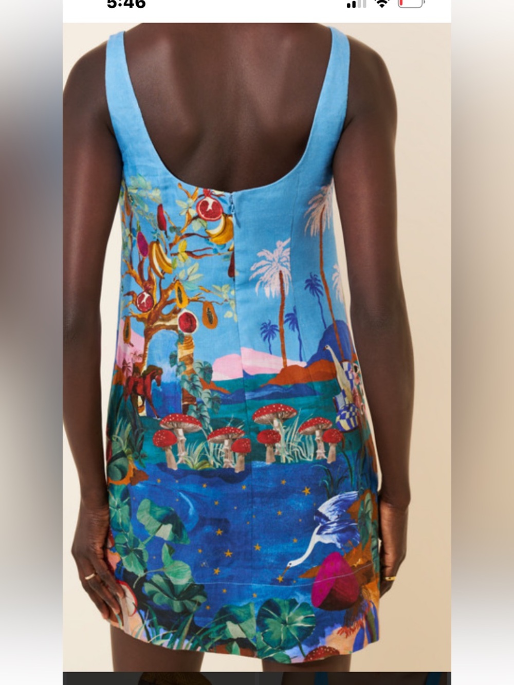 FARM Rio Blue Tropical beautiful print Mini Dress